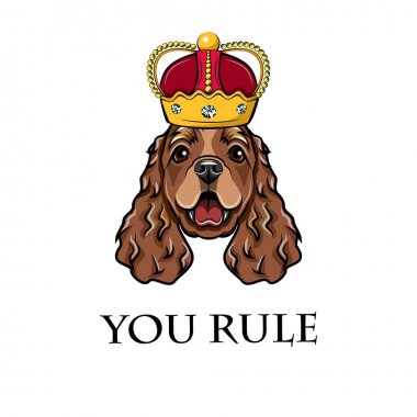 Yavru horoz İspanyol Kralı. Taç. Kraliçe. Köpek portre. Vektör.
