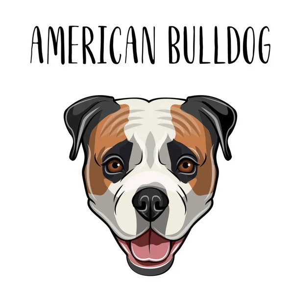 Amerikan Bulldog kafa. Köpek portre. Amerikan bulldog namlu yüz. Köpek doğurmak. Vektör. — Stok Vektör