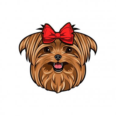 Yorkshire terrier köpek kafası. Yay. Yorkshire terrier başında kırmızı yay ile dekore edilmiştir. Sevimli köpek portre. Vektör.