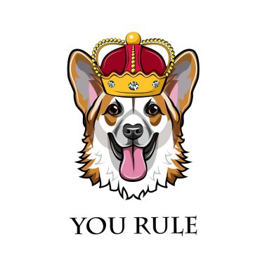Galce Corgi Kral. Kraliçe. Köpek portre. Köpek doğurmak. Sen yazıt kural. Vektör.