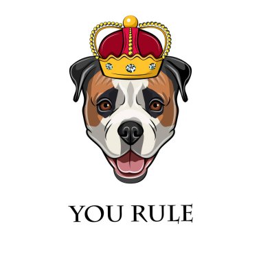 Amerikan Bulldog. Taç. Köpek Kral. Sen yazı kural. Köpek portre. Vektör.