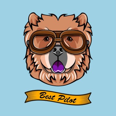 Chow Chow Pilot. Köpek havacı. Köpek portre. Köpek doğurmak. Vektör.