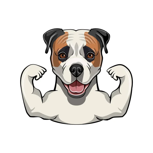 American bulldog. Muscles. Dog bodybuilder. Sportsman. Dog portrait. Vector. — Stock Vector