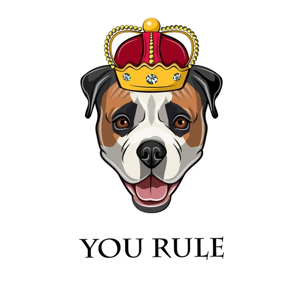 American Bulldog. Crown. Rey perro. Reglas las letras. Retrato de perro. Vector . — Archivo Imágenes Vectoriales
