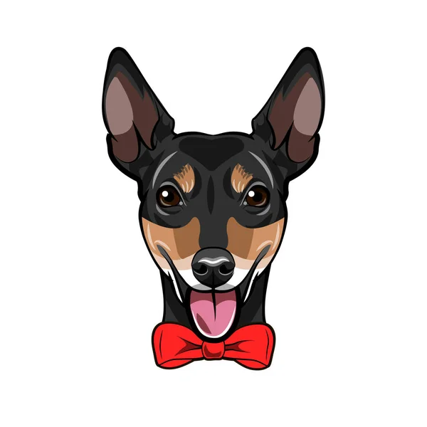 Chien Jouet Terrier Russe. Bow. Portrait de chien. Face de museau de tête de chien. Vecteur . — Image vectorielle