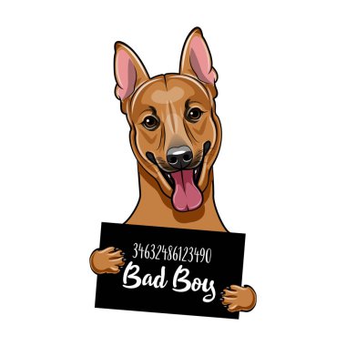 Alman çoban mugshot köpek. Köpek presoner. Polis afiş. Tutuklama fotoğraf. Polis, polis mugshot, sanatçısını tasarlamak. Polis Departmanı afiş. Alman çoban suçlu. Köpek suçlu. Vektör.