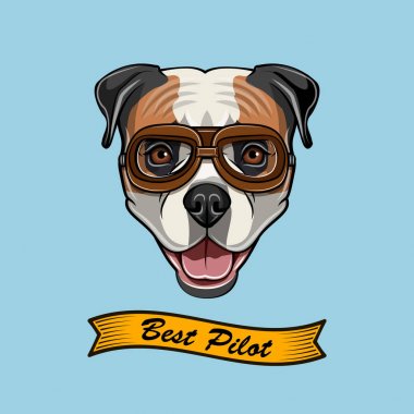 Amerikan Bulldog pilot. Köpek havacı. En iyi pilot yazı. Vektör.