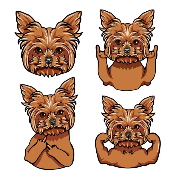 Yorkshire Terrier. geste rock, majeur, muscles. Face de chien, museau, tête. Vecteur . — Image vectorielle
