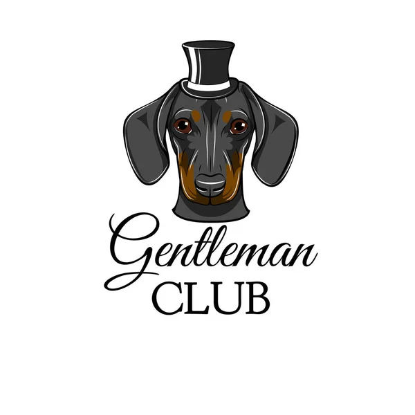 Teckel hond meneer. Hoge hoed. Gentleman club belettering. Hondenras. Vector. — Stockvector