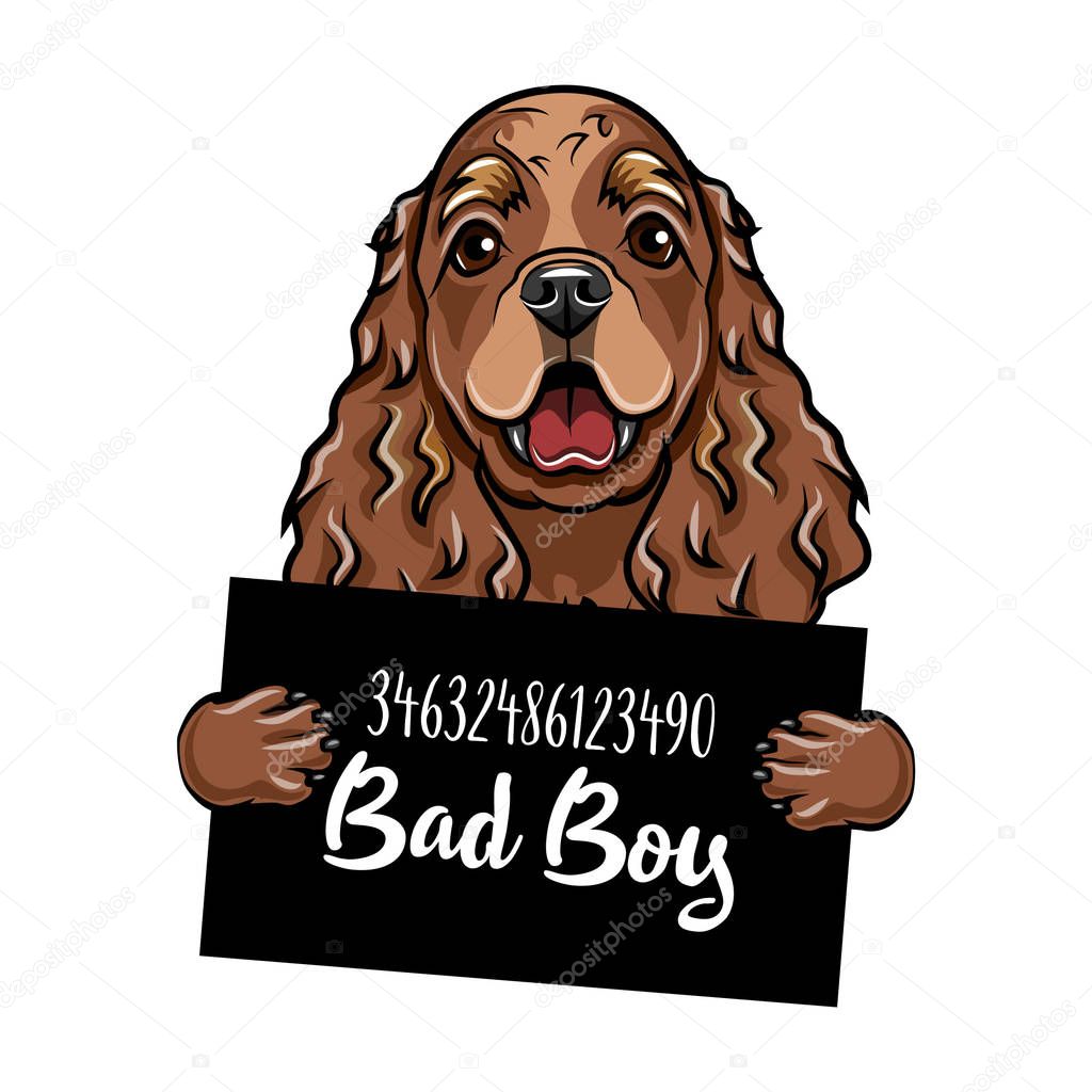 Cocker spaniel criminal. Police banner. Arrest photo. Police placard, Police mugshot, lineup. Police department banner. Dog offender. Vector.