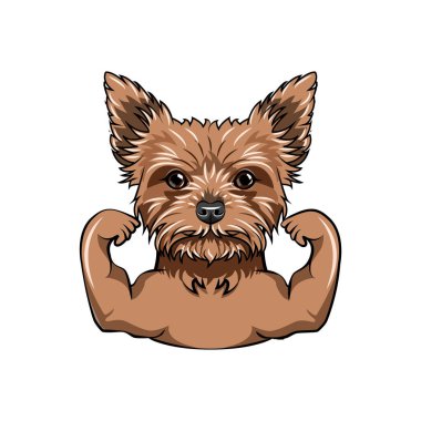 Yorkshire terrier sporcu. Kas. Köpek portre. Vektör.