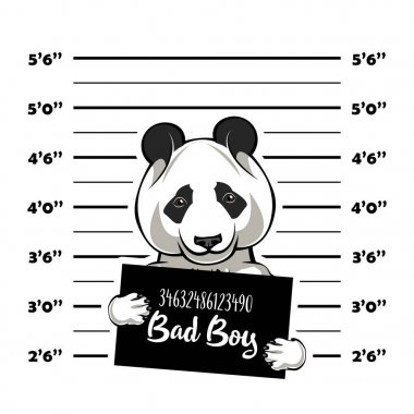 Panda suçlu. Polis afiş. Tutuklama fotoğraf. Polis, polis mugshot, sanatçısını tasarlamak. Polis Departmanı afiş. Ayı suçlu. Ayı Panda. Vektör.