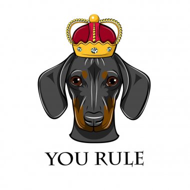 Dachshund Köpek Kraliçe Kral. Taç. Köpek portre. Sen yazı kural. Vektör.