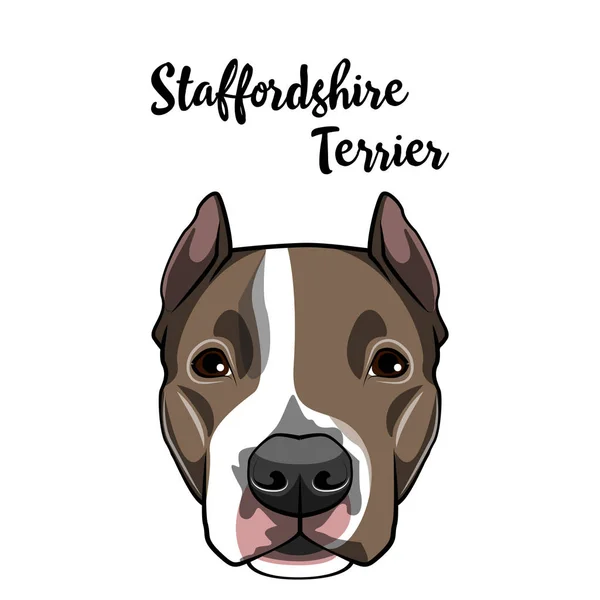 Staffordshire アメリカのテリア犬顔。犬頭の銃口。犬の品種。ベクトル. — ストックベクタ