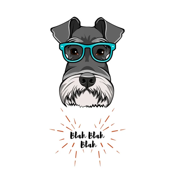 Schnauzer Geek. Köpek inek. Akıllı gözlük. Köpek portre. Vektör.