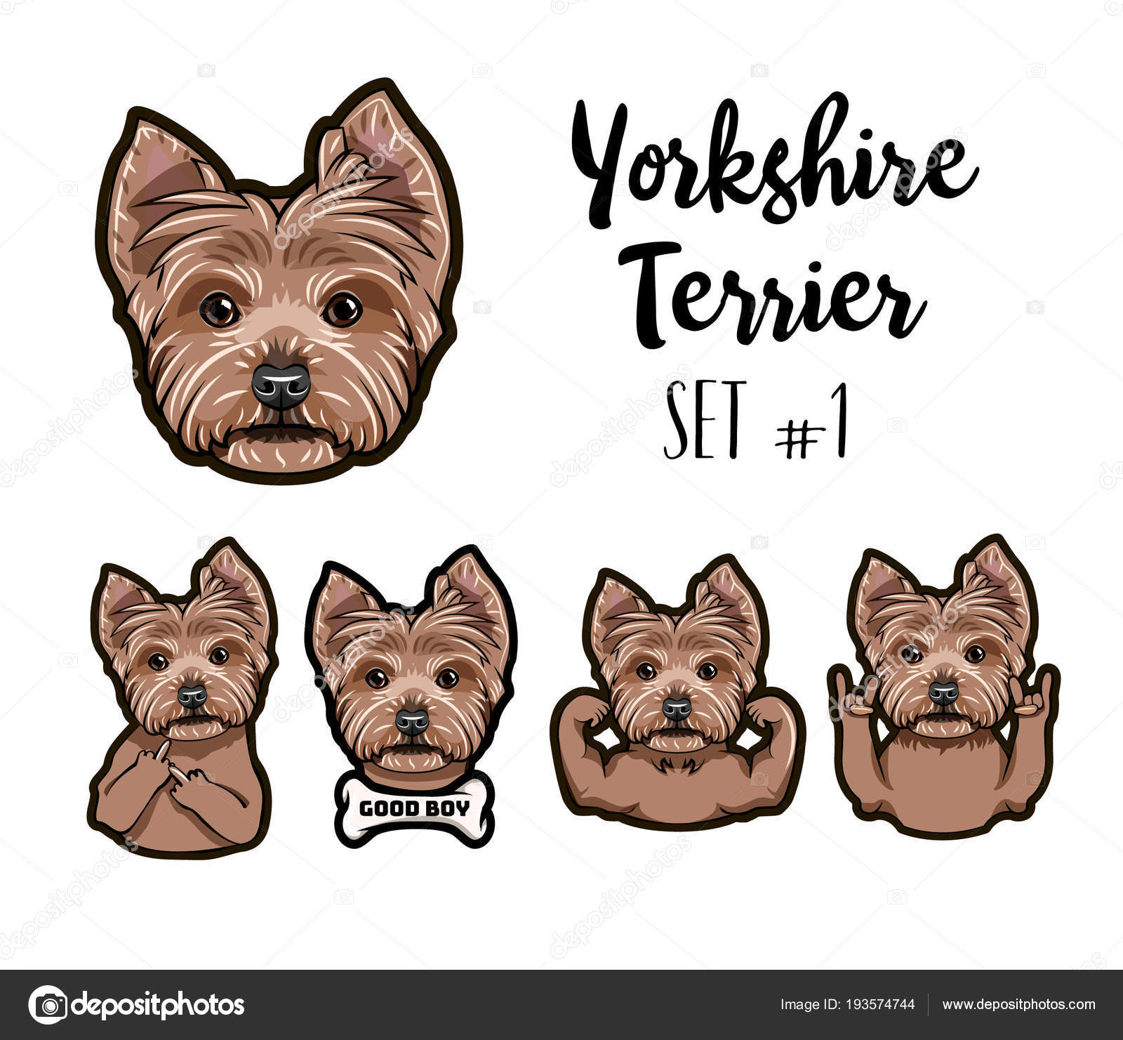 dog muzzle for yorkie