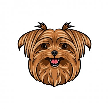 Köpek Yorkshire korkunç. Gülümseyen şirin köpek. Köpek doğurmak. Yorkshire Terrier portre. Vektör.