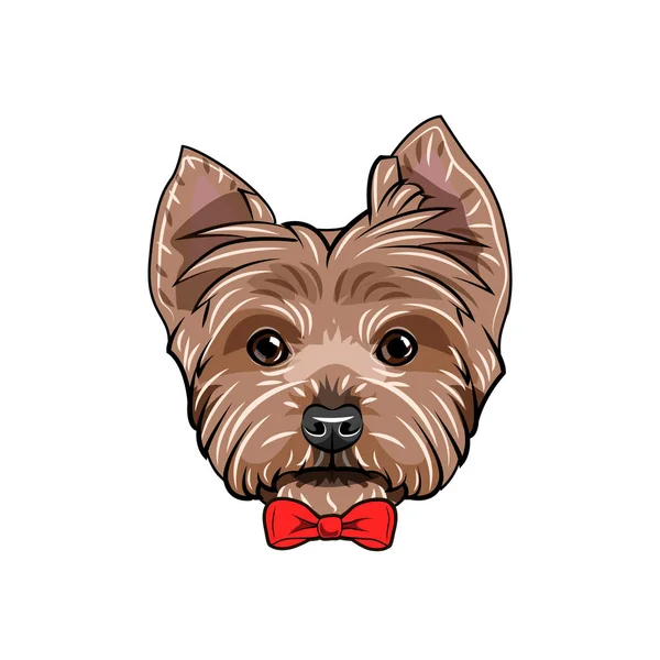 Yorkshire Terrier köpek. Kırmızı yay. Sevimli köpek portre. Vektör.