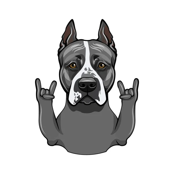 Staffordshire Terrier. Cornes, geste rock. Race de chien. Vecteur . — Image vectorielle