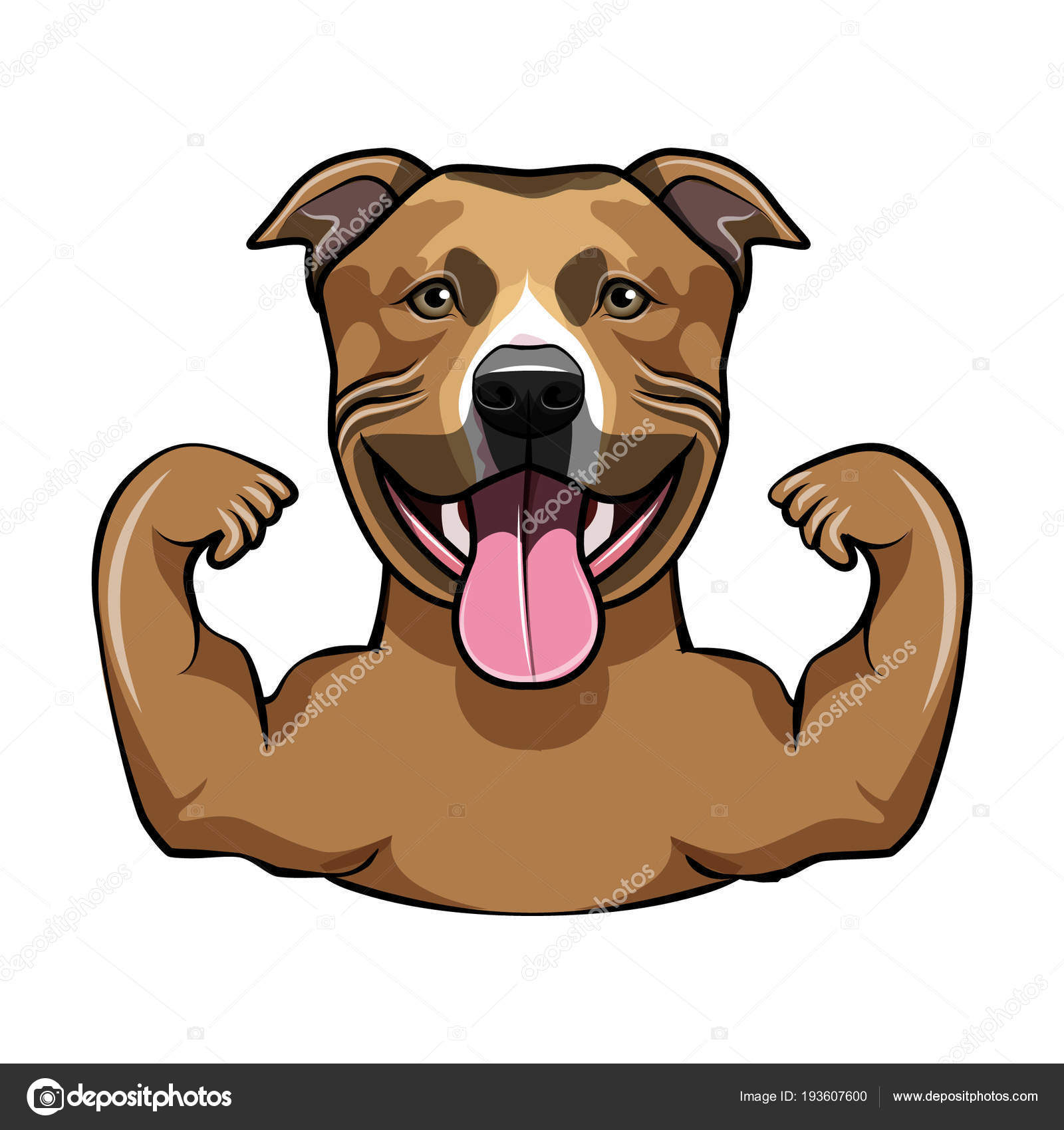 アメリカンスタッフォードシャー テリア。筋肉。犬のボディービルダー、スポーツマン。犬の肖像画を笑っています。ベクトル. ストックベクター ©lh  193607600, image size:1600x1700