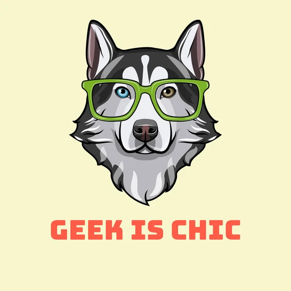 Siberian Husky nerd. Sart glasses. Dog geek. Husky portrait. Geek is chic. Vector. — Stock Vector
