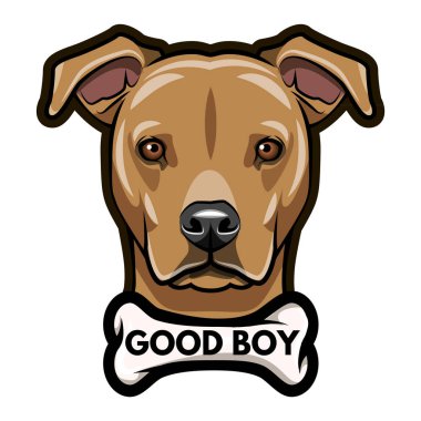 Staffordshire Terrier portre. Kemik. İyi çocuk yazıt. Köpek doğurmak. Vektör.