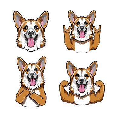 Galce corgi. Kaslar, orta parmak, Rock jest, boynuzları, namlu, baş, yüz. Gülümseyen cogri. Köpek farklı hareketlerle. Vektör.