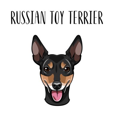 Rus oyuncak Terrier portre. Köpek gülümsüyor. Rus oyuncak korkunç doğurmak. Vektör.