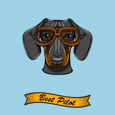 Dachshund Köpek pilot. Havacılar gözlük. En iyi pilot yazıt. Sevimli köpek portre. Vektör.