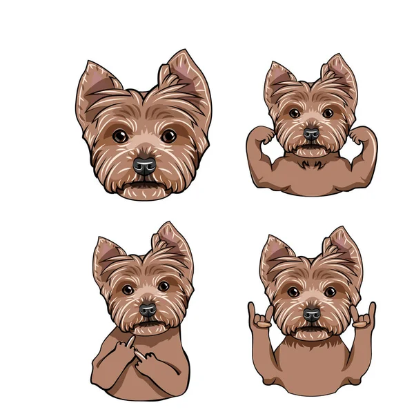 Yorkshire terrier pies kolekcji. Rogi, mięśnie, środkowy palec, głowy, kaganiec, twarzy, gestów rock. Portret psa. Wektor. — Wektor stockowy