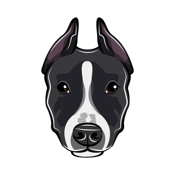 Retrato de Staffordshire Terrier. Cabeça de cão. Vetor . — Vetor de Stock