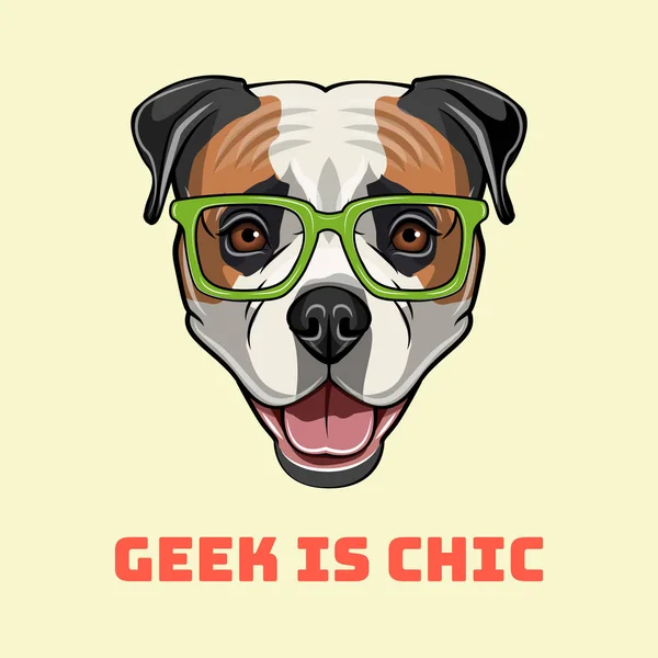 Crétin de bouledogue américain. Des lunettes intelligentes. Portrait de nerd de chien. Vecteur . — Image vectorielle