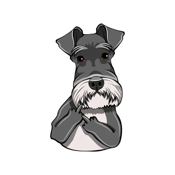 Schnauzerhund. Mittelfinger-Geste. Hundeporträt. Schnauzerrassen. Vektor. — Stockvektor