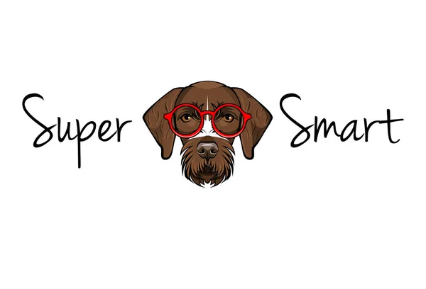 Kortharige Duitse nerd. Hond geek. Slimme bril. Super Slim belettering. Vector. — Stockvector