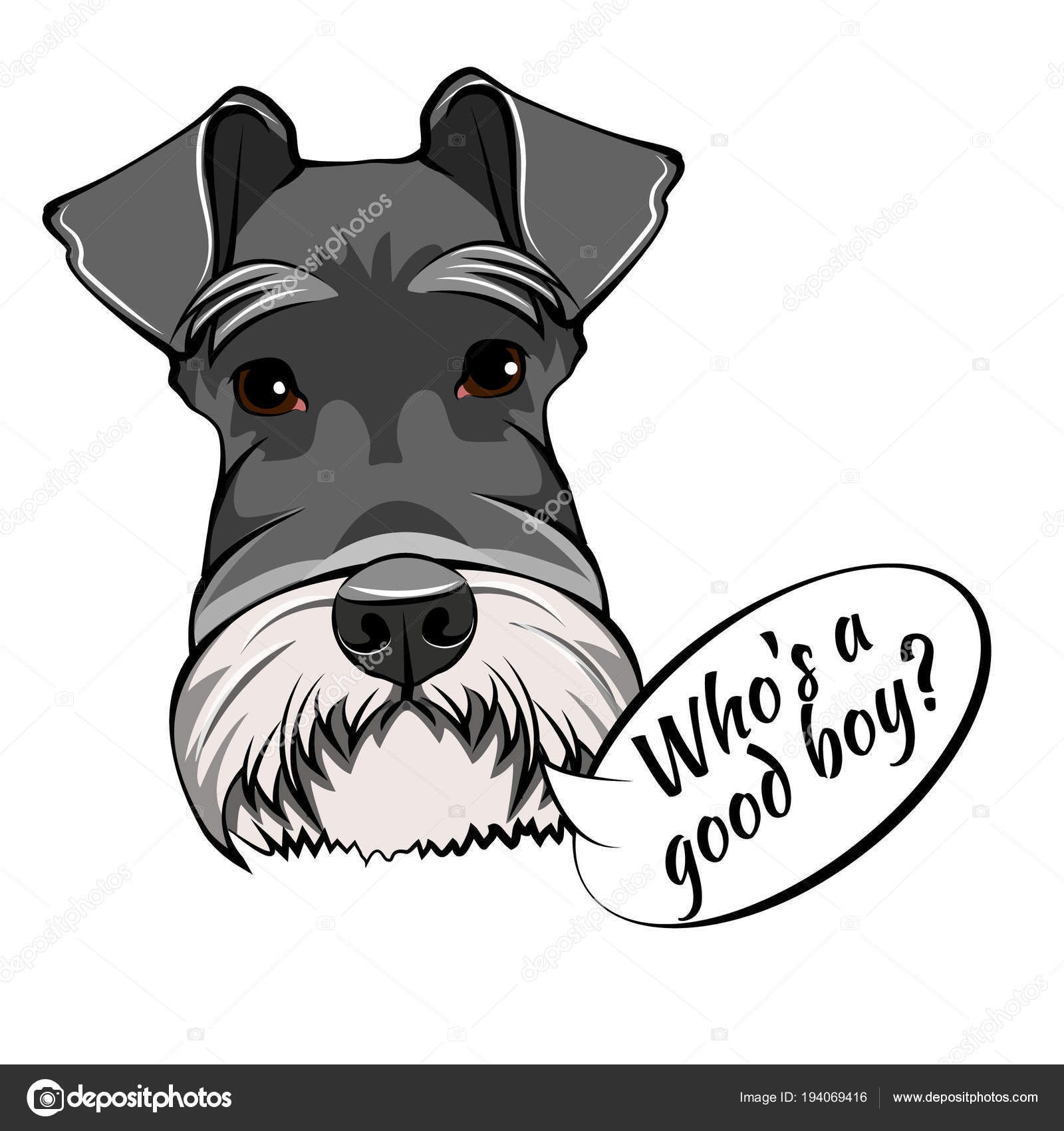 schnauzer muzzle