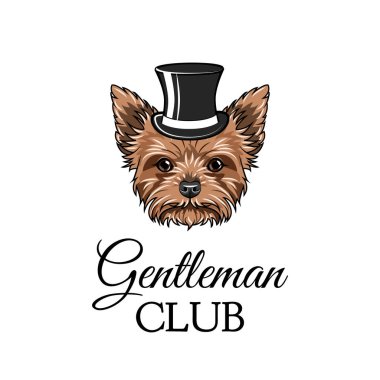 Yorkshire terrier beyefendi. Silindir şapka. Beyefendi club metin. Vektör.