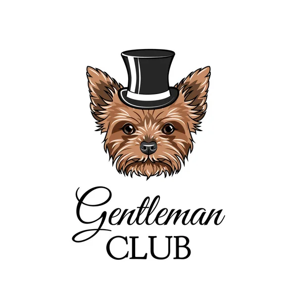 Jorkšírský teriér gentleman. Cylindr. Gentleman club text. Vektor. — Stockový vektor