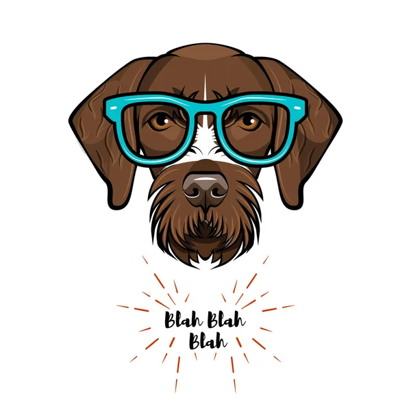 Allemand poil court pointeur nerd. Des lunettes intelligentes. Un geek de chien. Portrait de chien intelligent. Vecteur . — Image vectorielle