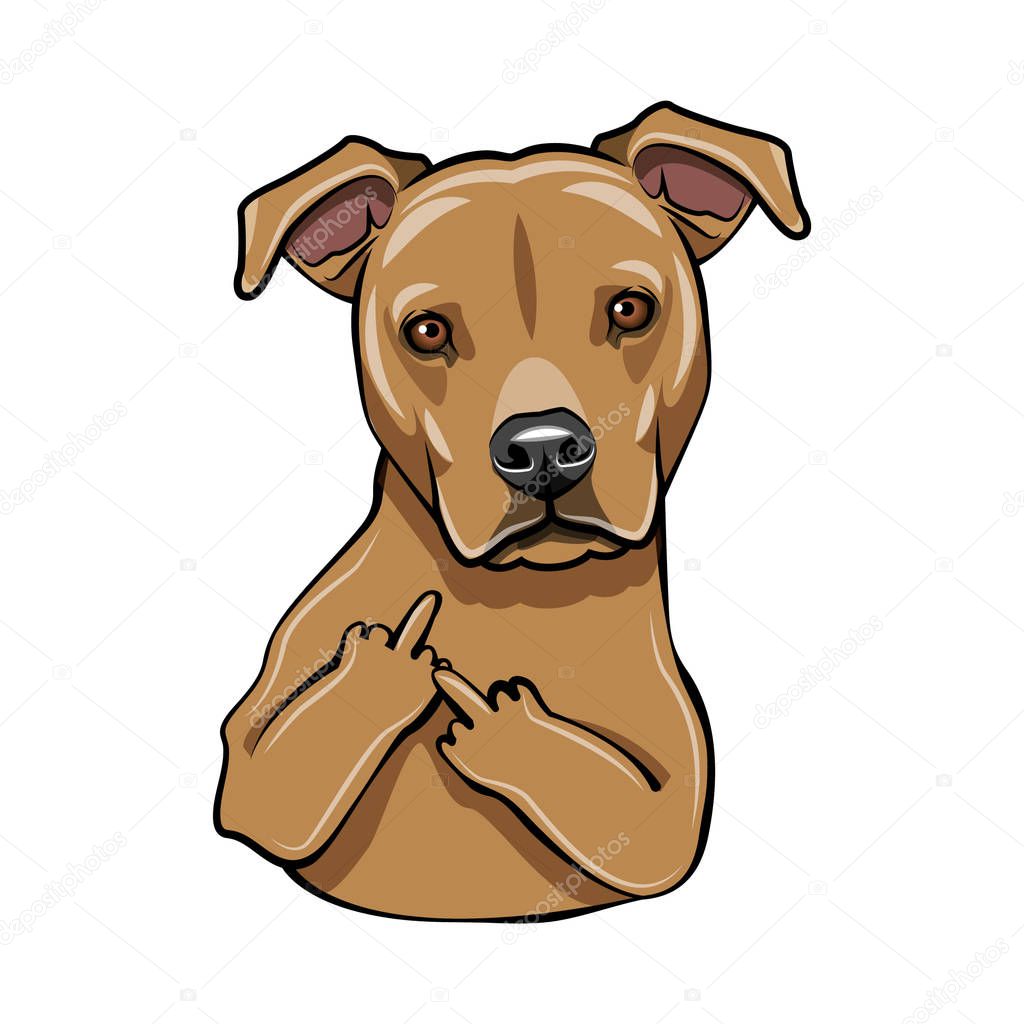 Staffordshire Terrier dog. Middle finger. Dog breed. Vector.