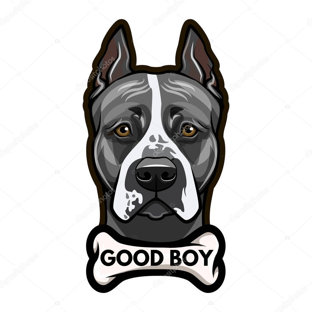 Staffordshire Terrier dog portrait. Bone. Good boy lettering. Vector.