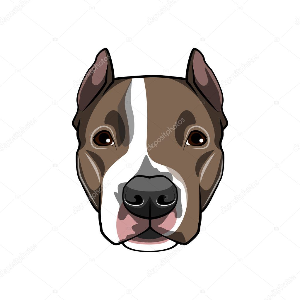 American staffordshire terrier portrait. Dog breed. Dog muzzle, head, face. Vector.