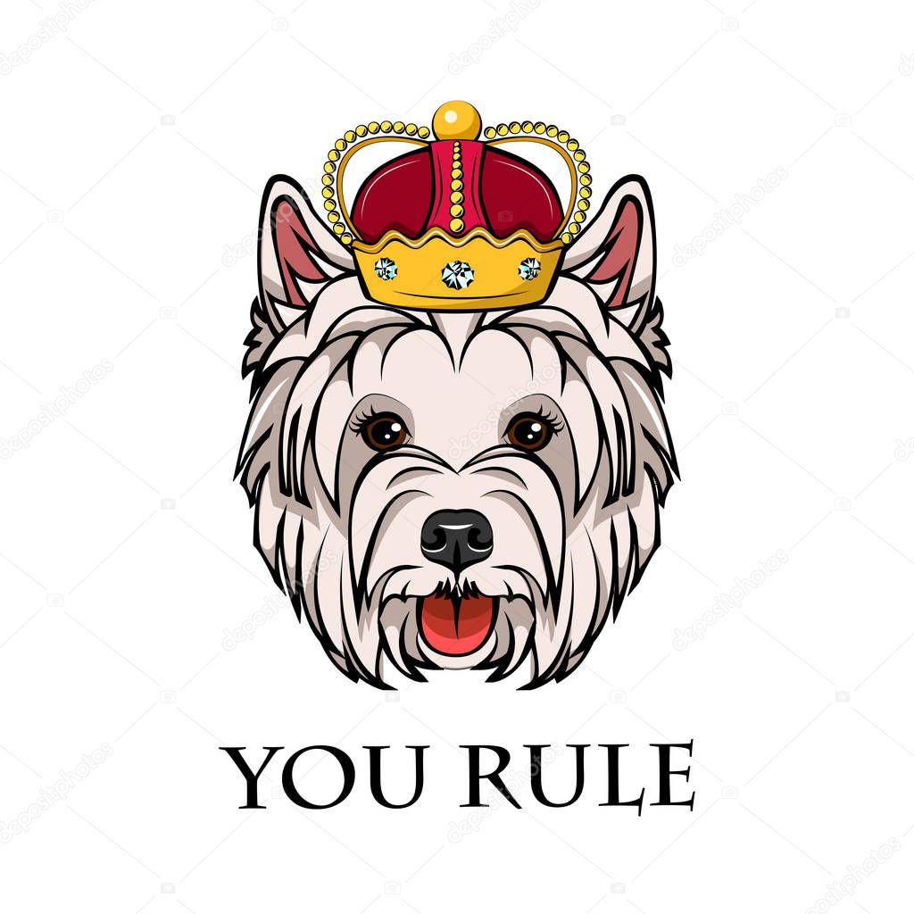 West Highland White Terrier king. Crown. Dog queen. Dog portrait. You rule text. Vector.