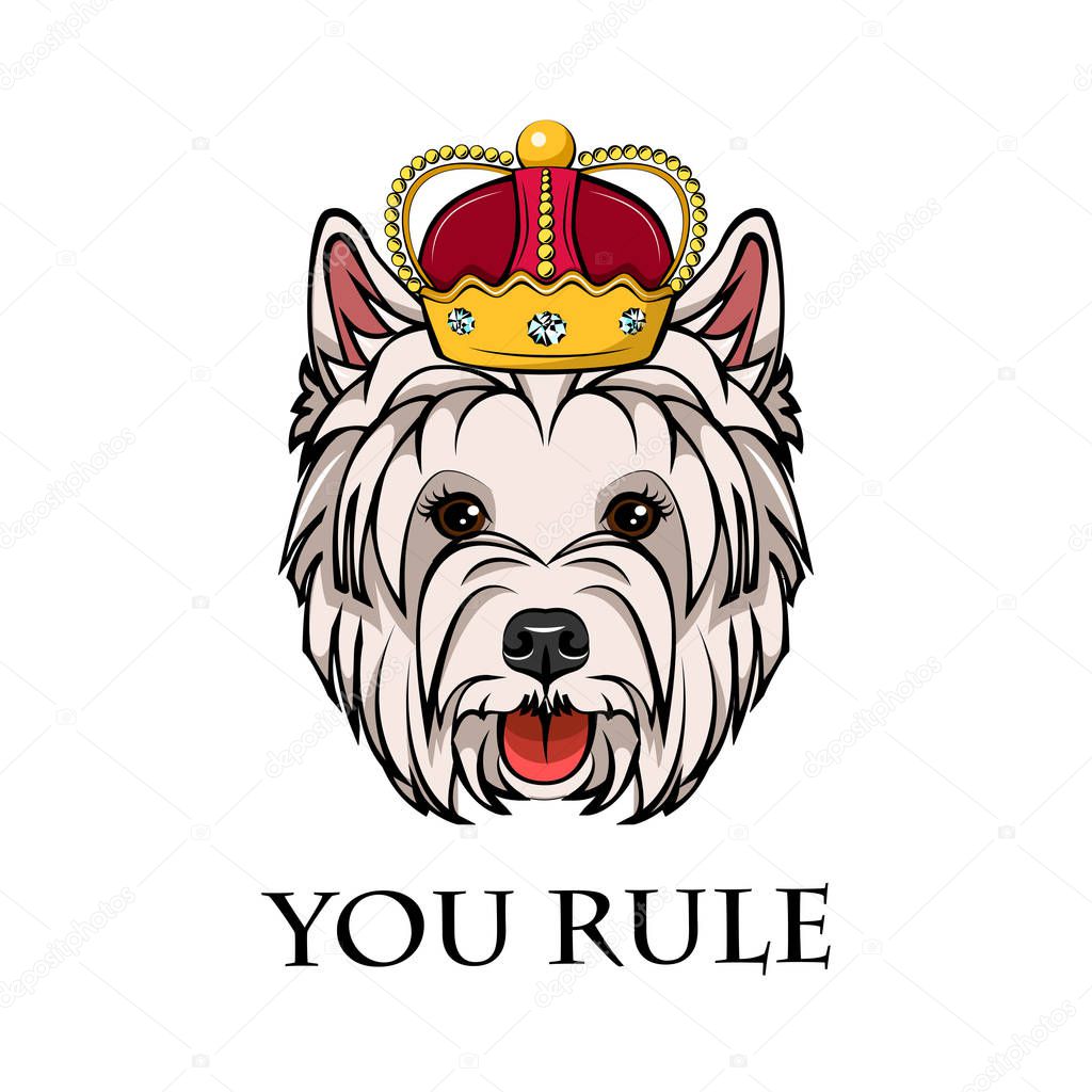 West Highland White Terrier king. Crown. Dog queen. Dog portrait. You rule text. Vector illustration