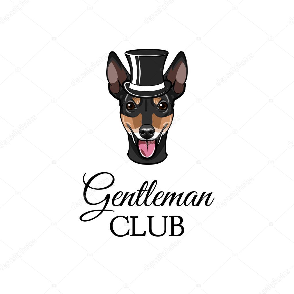 Russian Toy Terrier gentleman. Dog portrait. Top hat. Gentleman club text. Vector illustration
