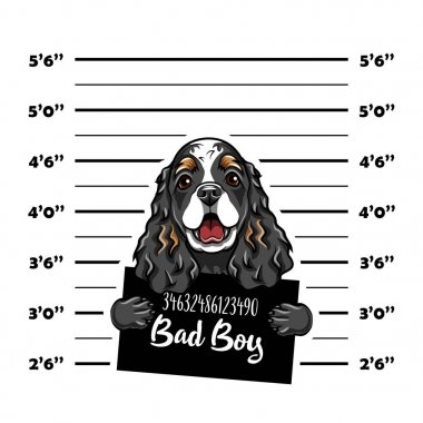 Yavru horoz İspanyol kötü çocuk. Köpek suçlu. Tutuklama fotoğraf. Polis kayıtları. Köpek hapishane. Polis mugshot arka plan. Vektör.
