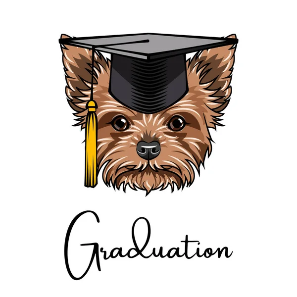 Yorkshire terrier Graduado. Gorra de graduaciones. Retrato de perro. Vector . — Archivo Imágenes Vectoriales