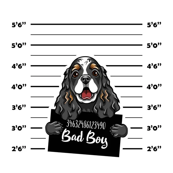 Κόκερ Σπάνιελ κακό αγόρι. Σκύλος ποινικό. Σύλληψη φωτογραφία. Αστυνομικά αρχεία. Σκύλος φυλακή. Αστυνομία mugshot φόντο. Διάνυσμα. — Διανυσματικό Αρχείο