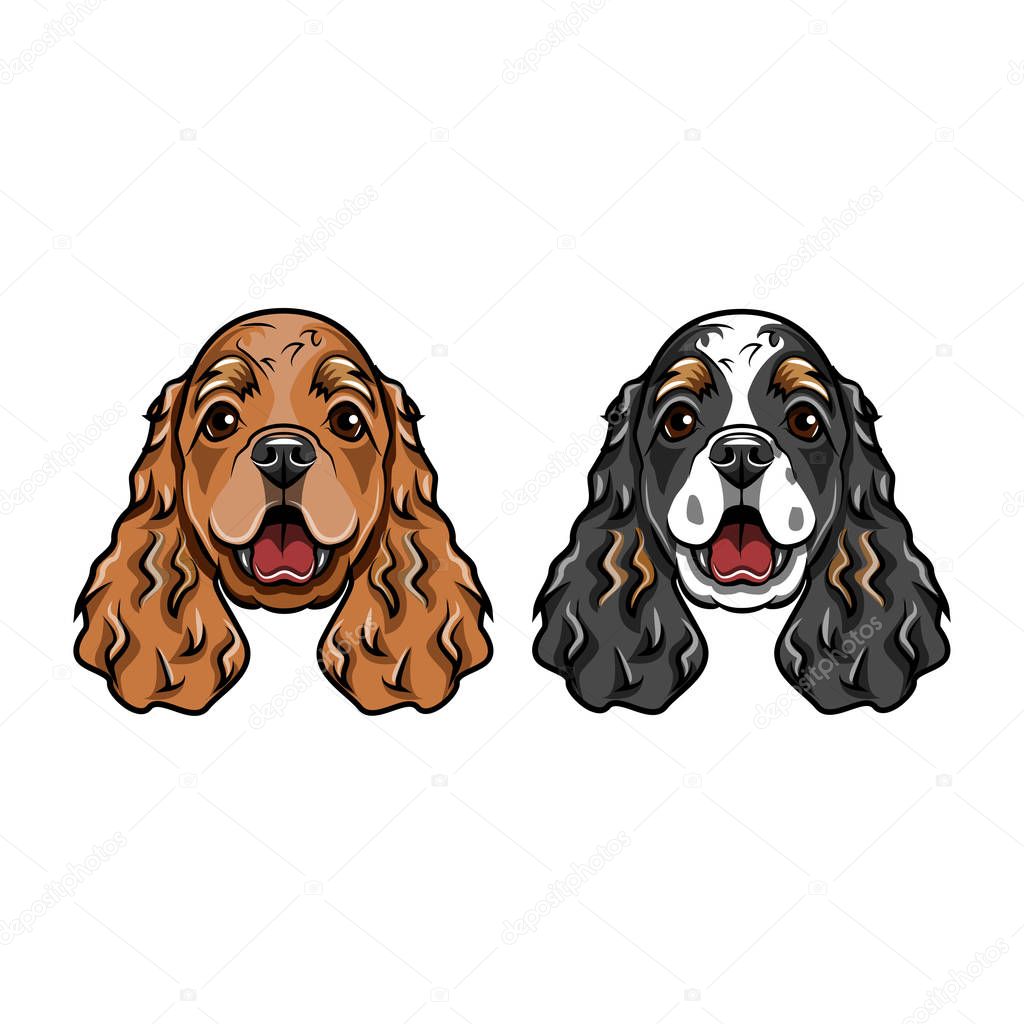 English Cocker Spaniels portraits. Dog breed. Two dogs. Vector.