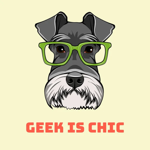 Schnauzer kutya geek portré. Intelligens szemüveg. Kutya majom. Geek a sikkes betűkkel. Vektor. — Stock Vector