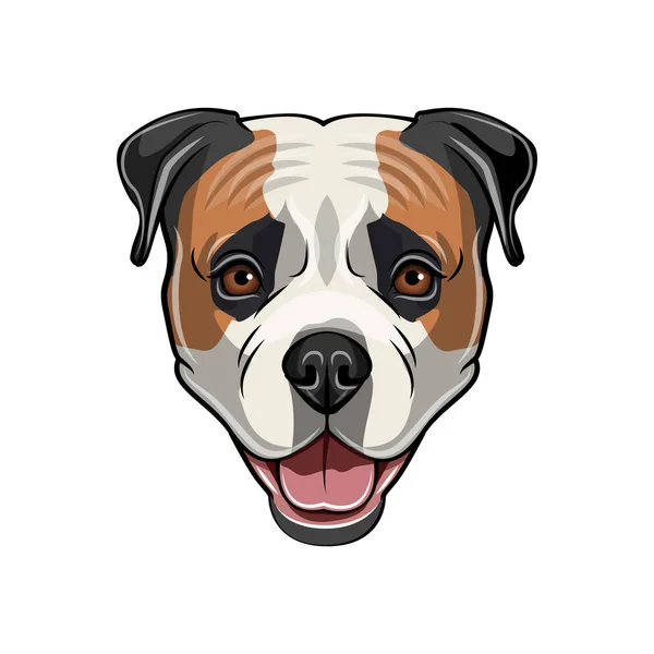 American Bulldog head. Dog portrait. Cute American Bulldog. Dog face. Vector. — Stock Vector